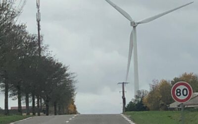 « Ce qui est laid chez les autres… »