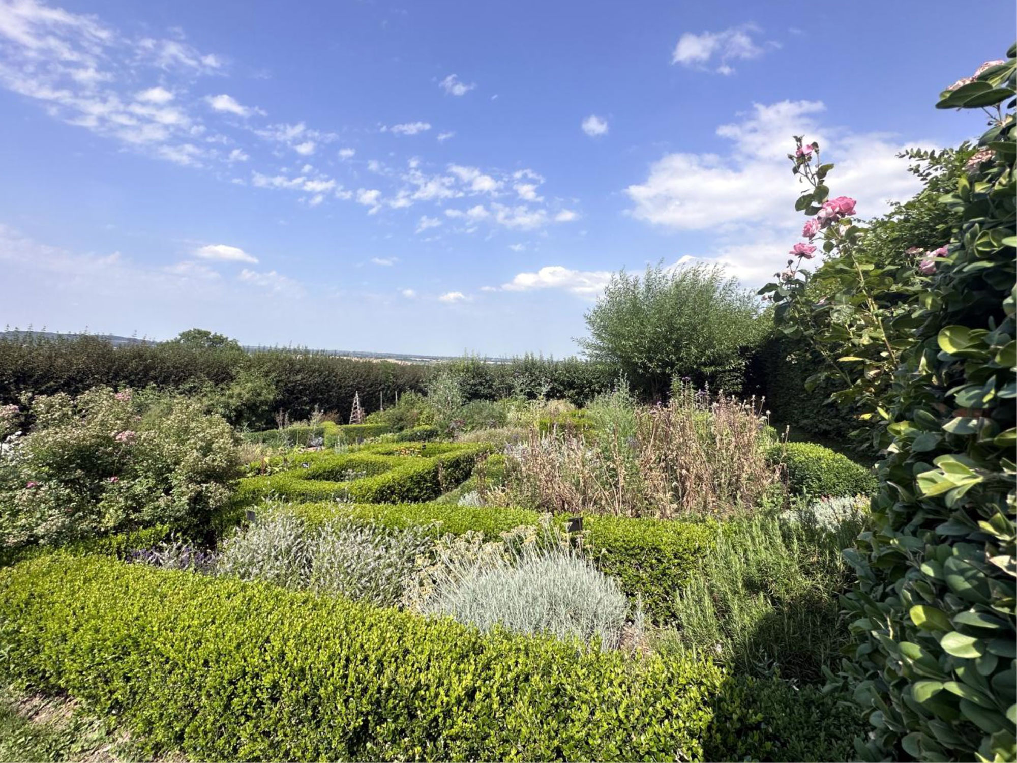jardin
